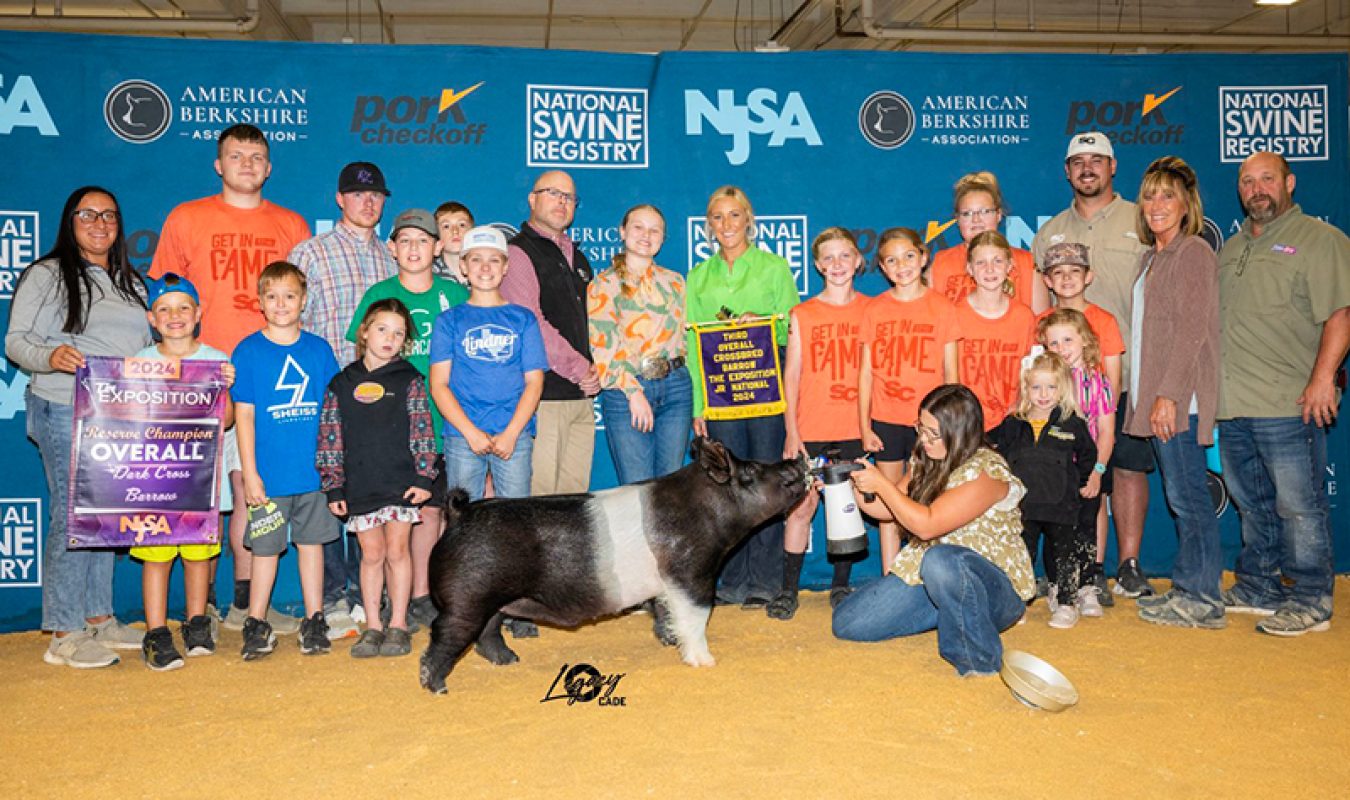 3rd Overall Cross Barrow The Exposition 2024 Littermate to Toy Story
