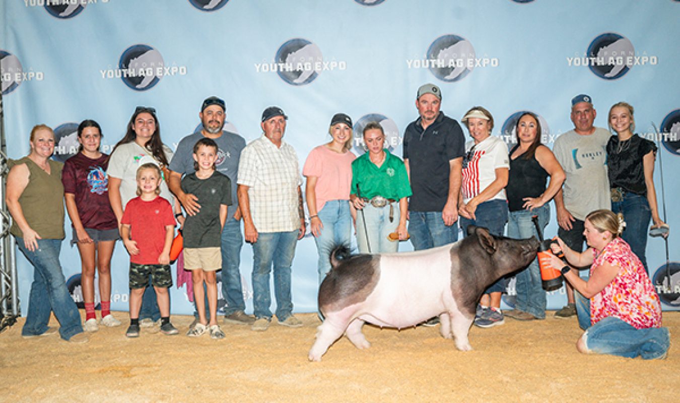 6th Overall Gilt, 4th Dark Cross, CYAE