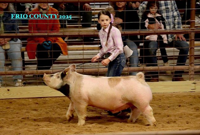 Grand Champion, 2025 Frio County