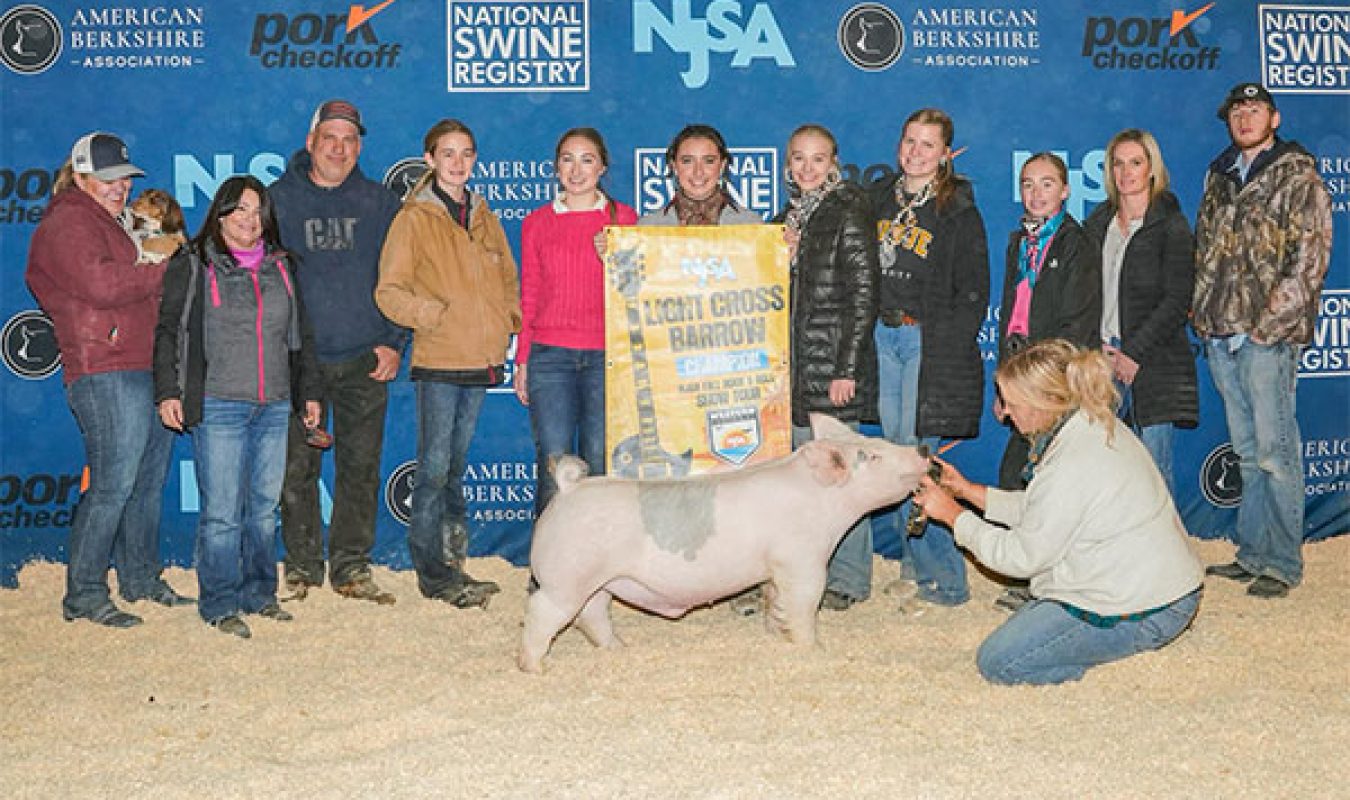 Champion Light Cross - NJSA