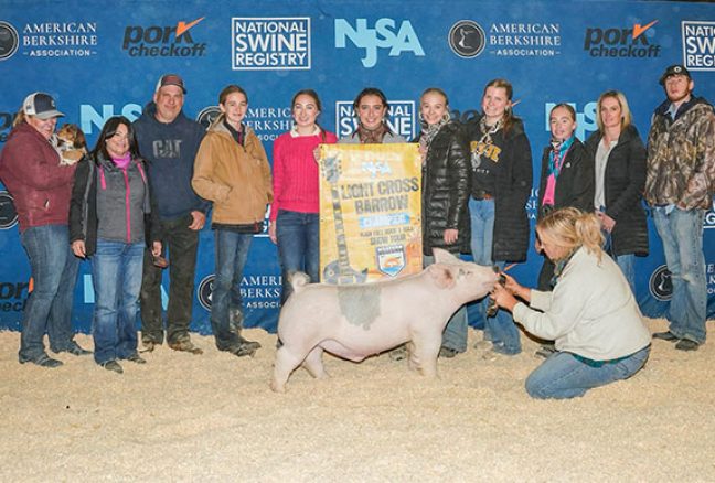 Champion Light Cross - NJSA